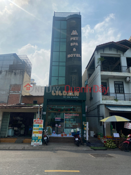 5-Star Pet Service LilDan Pet Spa and Hotel - 309A Tan Huong (Dịch Vụ Thú Cưng Chuẩn 5 Sao LilDan Pet Spa and Hotel - 309A Tân Hương),Tan Phu | (1)