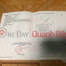BEAUTIFUL LAND - GOOD PRICE - Owner Sells 2 Land Lots in Prime Location in Phu Xuan Commune, Thai Binh City _0
