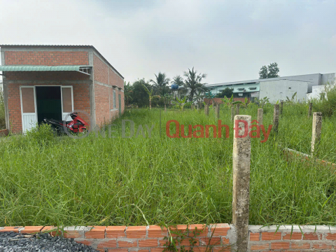 Bán 02 Lô Đất Liền Kề, Tổng Diện Tích 200m2 Tại Ấp 1, Xã Nhị Thành, Huyện Thủ Thừa, Long An. _0