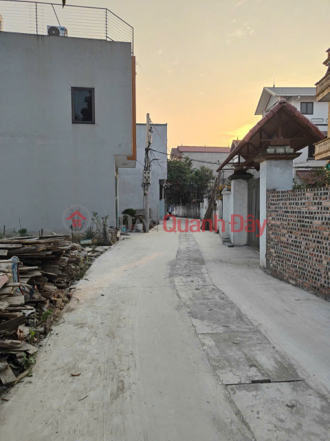 Đất tổ 9, Quang Minh, Mê Linh. Cực hiếm, giá công nhân, sinh viên. Gần KCN Quang Minh _0