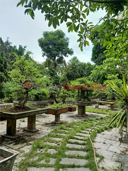 đ 160 Million, Selling 10,000m2 of land for 50 years in Yen Vien town, Gia Lam district, Hanoi