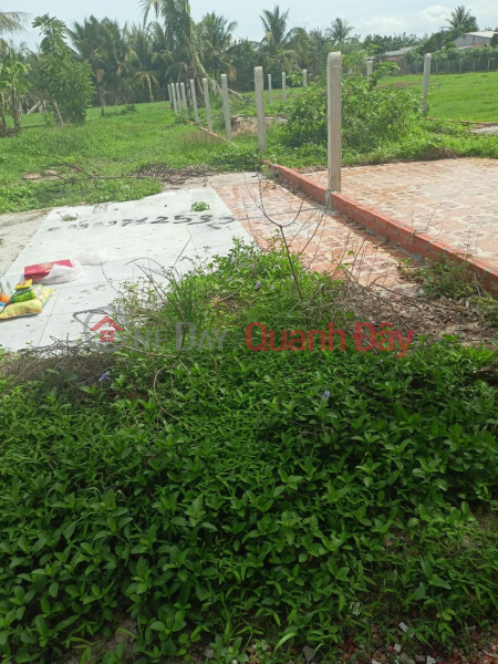 BEAUTIFUL LAND - GOOD PRICE - Owner Needs to Sell Land Plot Quickly in An Co Commune, Chau Thanh District, Tay Ninh Vietnam | Sales, đ 390 Million