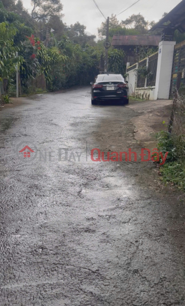 Land for sale 300m2 residential street Tran Phu, B'Lao ward, Bao Loc city, Lam Dong province Sales Listings