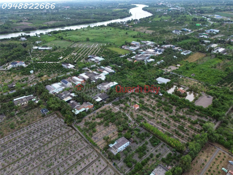 A prime property - Beautiful residential land for sale in Hamlet 5, Thanh Hoa, Ben Luc, area 195m2, ideal for investment., Vietnam, Sales | đ 750 Million