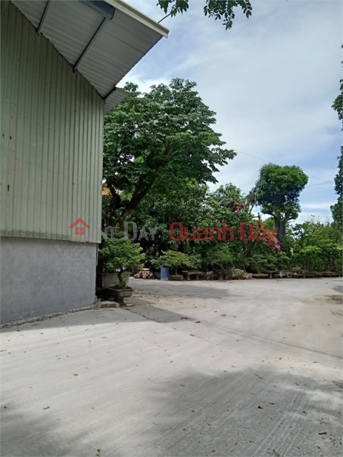 Selling 3,000m2 of land for warehouse and workshop 50 at Phu Thi Industrial Complex, Gia Lam District, Hanoi. _0