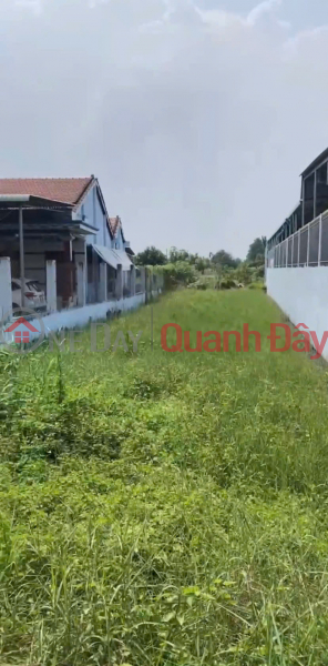 Chính Chủ Bán 1000m2 Đất Tại Ấp 5, Tân Hòa, Huyện Bến Lức, Long An | Việt Nam | Bán đ 1,7 tỷ
