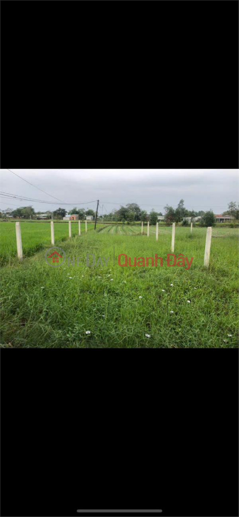 OWNER Needs to Quickly Sell Land in Good Location in Hoa Khanh Dong Commune, Duc Hoa District, Long An _0