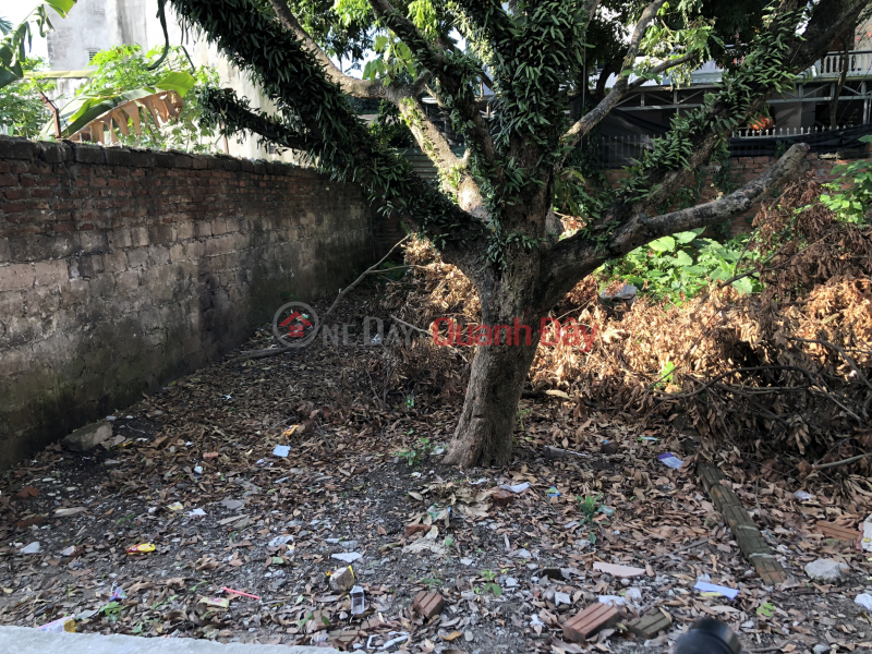 Property Search Vietnam | OneDay | Residential, Sales Listings | 42m2 of land in Phuong Dong, Phung Chau, 100m from bus, price slightly 800 million