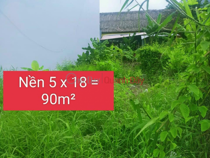 Property Search Vietnam | OneDay | Sales Listings | QUICK SALE (HOT) INVESTMENT PRICE P. BINH KHANH