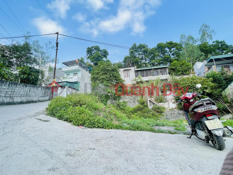 The owner sells the plot of land behind Ha Lam stadium _0