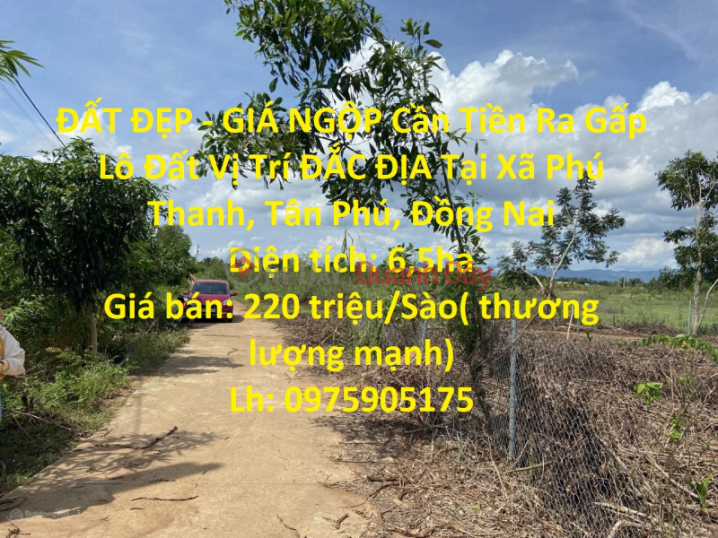 BEAUTIFUL LAND - INCREDIBLE PRICE Need Money Urgently Land Lot GENERAL Location In Phu Thanh Commune, Tan Phu, Dong Nai Sales Listings