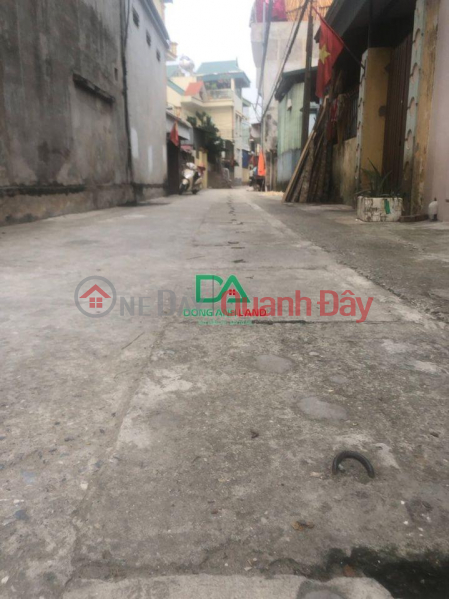 Selling land 40m in Thai Binh village, Mai Lam Dong Anh commune for just over billion VND, Vietnam, Sales | đ 1.28 Billion