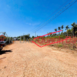 Urgent sale of a 125m2 plot in Him Lam, with 75m2 of residential land, accessible by two cars, near Tan An Industrial Park, direct sale from owner. _0