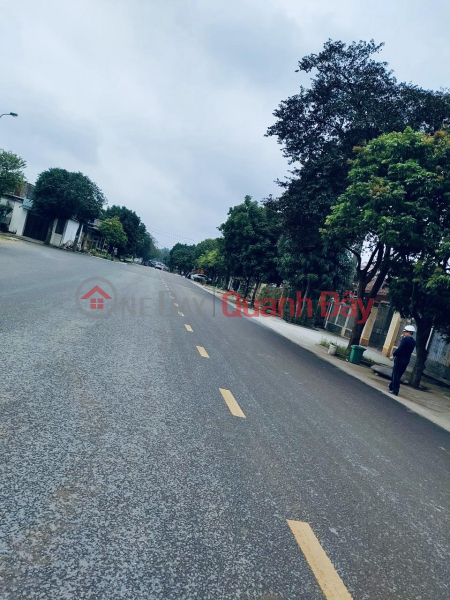 Property Search Vietnam | OneDay | Residential, Sales Listings | URBAN LAND FOR SALE ON LARGE ROAD SURFACE TOWN NEAR INDUSTRIAL PARK IN Bac Son Ward, Bim Son, Thanh Hoa