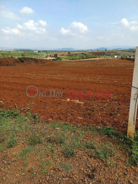 Bán 11140m2 đất N'Thôn Hạ Đức Trọng Lâm Đồng 11 tỷ _0