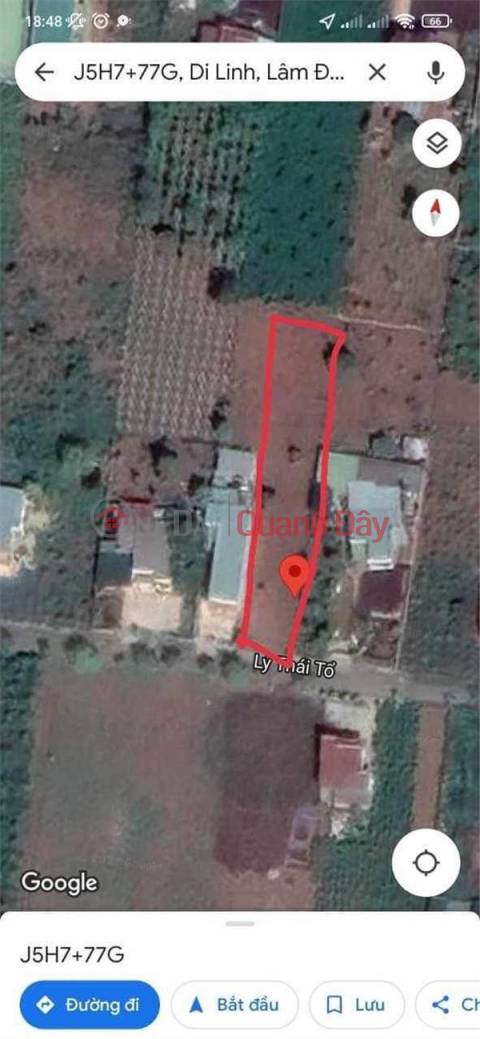 BEAUTIFUL LAND - GOOD PRICE - Land Lot For Sale Prime Location In Di Linh District, Lam Dong _0