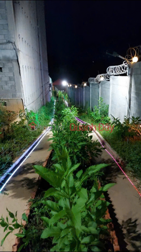 Owner selling house and land with existing swiftlet farm, area 1249m², in Nam Cat Tien, Tan Phu, Dong Nai. _0