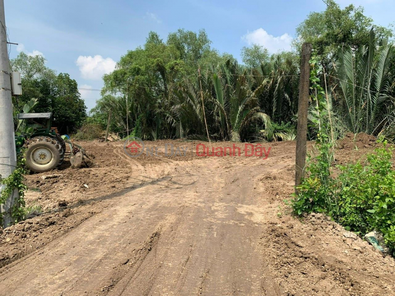 BEAUTIFUL LAND - GOOD PRICE - Land for sale in Can Duoc (near Canal Nuoc Man bridge) Sales Listings