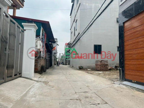 Selling corner lot 59m, Hamlet Nhi, Van Noi, Dong Anh, through the car road _0