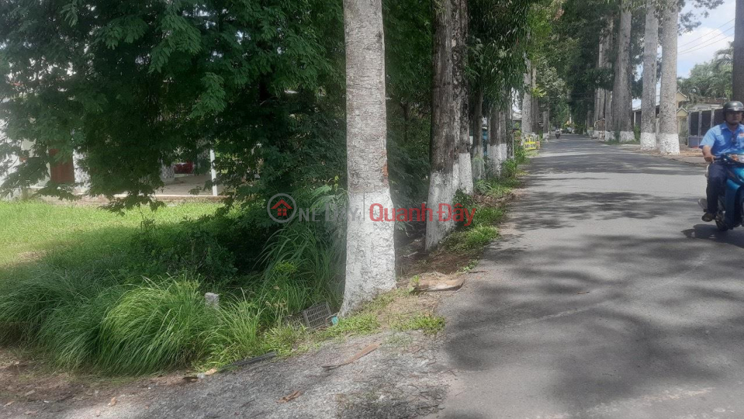 Property Search Vietnam | OneDay | Residential | Sales Listings BEAUTIFUL LAND - GOOD PRICE - Own Land Lot 2 Fronts Location In Thanh Phu - Ben Tre