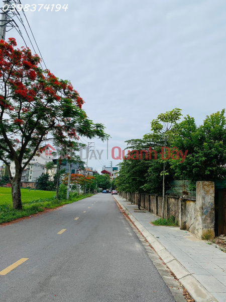 Land in Soc Son town near Highway 3 to Thai Nguyen, good price Sales Listings
