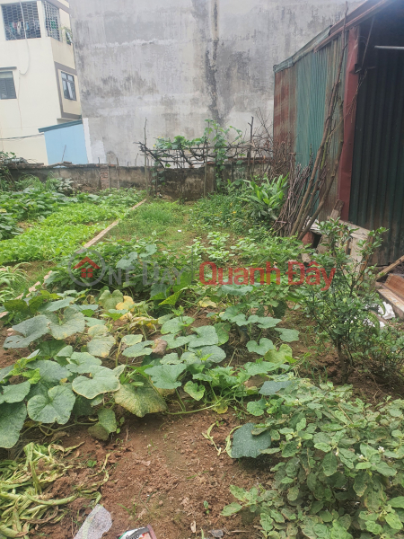 Property Search Vietnam | OneDay | Nhà ở, Niêm yết bán CHÍNH CHỦ BÁN ĐẤT TRÂU QUỲ - GIA LÂM, DIỆN TÍCH 46 m2, Giá 5.6 tỷ