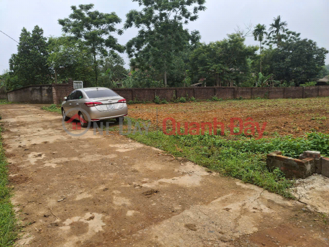 Beautiful land for sale in Tề Lễ, Tam Nông, Phú Thọ (now part of Thọ Văn) - Large area - Price only 590 million VND _0