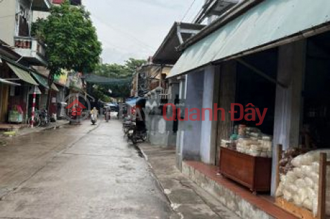 Urgent sale of 216m2 land in Tu Nhien Commune, Thuong Tin, Hanoi _0