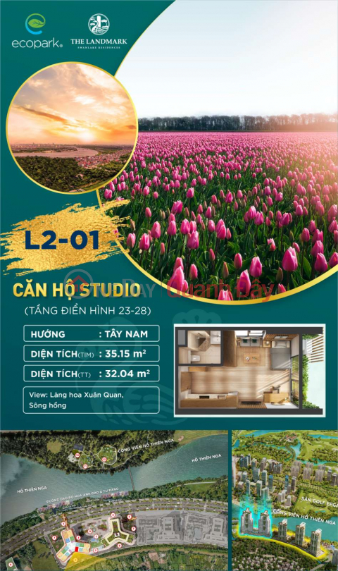 Buy a small house and get a big gift from Sudio Landmark Ecopak Hung Yen apartment _0