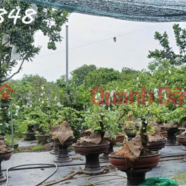 Chính chủ cần bán đất tại ấp Sa Cá, xã Bình An, Long Thành, Đồng Nai Chính chủ cần bán đất tại ấp Sa Cá, xã Bình An, Long Thành, Đồng Nai _0
