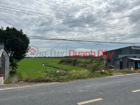 Owner Needs To Quickly Sell Rice Plot With Residential Land Frontage On Provincial Road 945, Tri Ton, An Giang _0