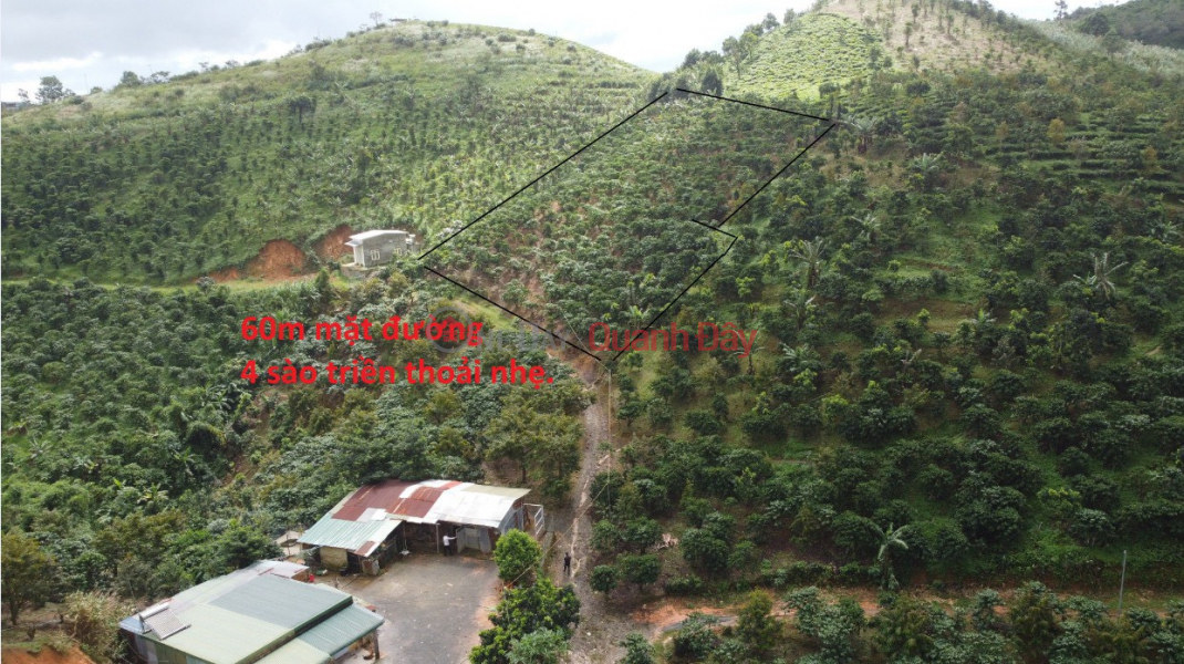 BEAUTIFUL LAND - GOOD PRICE - Land Lot For Sale Prime Location In Loc Thanh Commune, Bao Lam District, Lam Dong Sales Listings