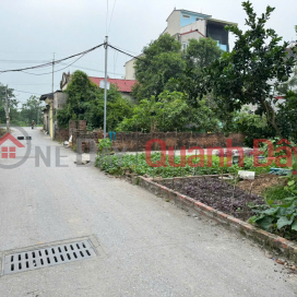 Bán đất thổ cư 86m², hướng Đông Nam, trung tâm Chi Đông, Mê Linh, Hà Nội _0