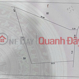 OWNER URGENTLY SELLING PLOT OF LAND RIGHT NEXT TO HO CHI MINH - LUONG SON ROAD _0
