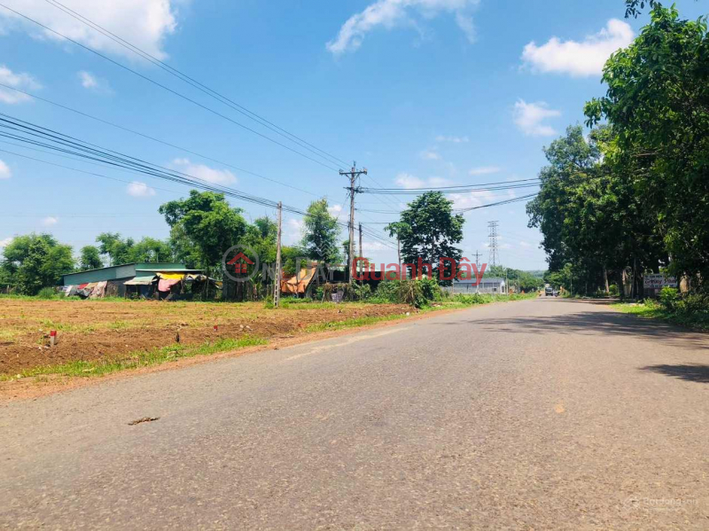 Agricultural and residential land for sale, frontage on Ly Thai To street, Long Tan commune, Nhon Trach district, Dong Nai province. Sales Listings