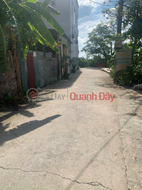 Selling a plot of land of 63.2m2 in Trung Oai - Tien Duong Dong Anh, the lane allows trucks to run comfortably, priced at only 4xtr\/m2. _0