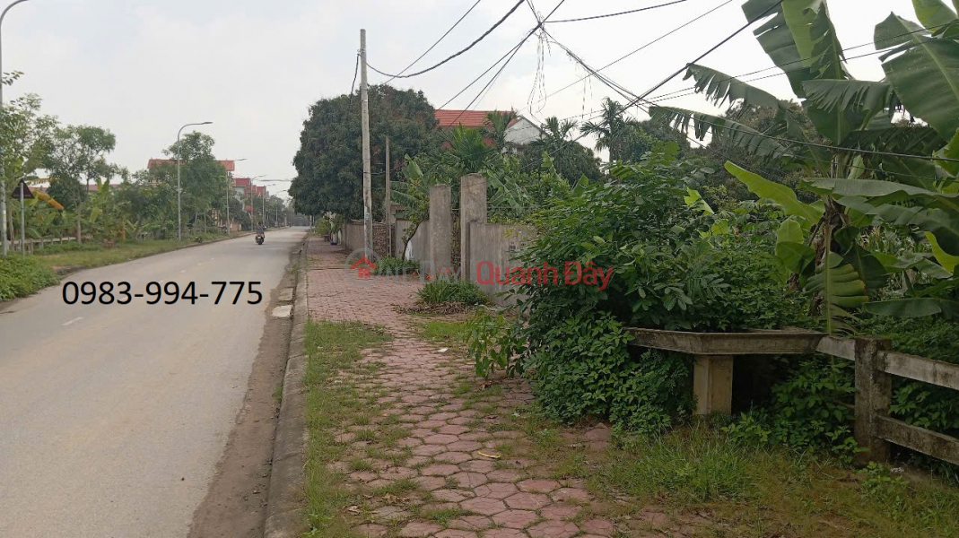 Property Search Vietnam | OneDay | Nhà ở Niêm yết bán, BÁN ĐẤT LƯƠNG TÀI, BẮC NINH. 100M2 * MT 5,2M * 2,6 TỶ. Ô TÔ TRÁNH, VỈA HÈ KINH DOANH