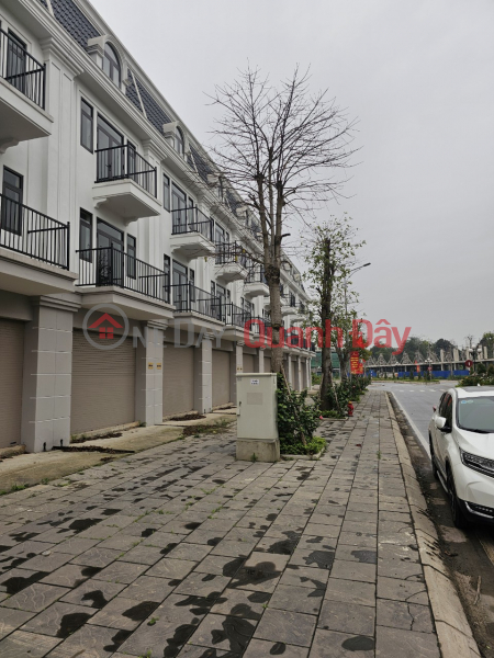 Property Search Vietnam | OneDay | Residential | Sales Listings Shophouse for sale in Viet Han urban area, Pho Yen city, Thai Nguyen, 100m2