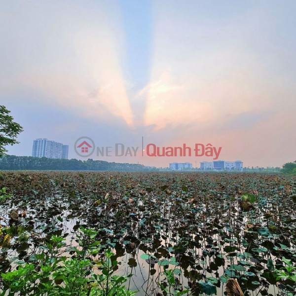Property Search Vietnam | OneDay | Residential, Sales Listings Land for sale in the center of Trau Quy, Gia Lam, 36m2, 22m wide road, good for business, price 7 billion VND. Contact 0989894845