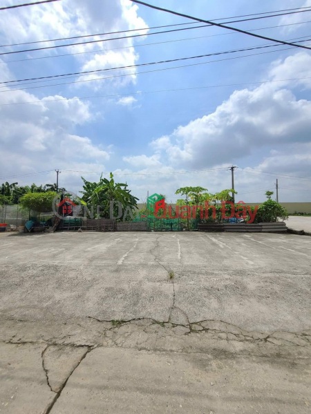 Land for sale in Dong Nguyen Khe Village, Price 7X - 17M PLANNING ROAD FRONTAGE, STRAIGHT VIEW TO VINTECH PROJECT Sales Listings