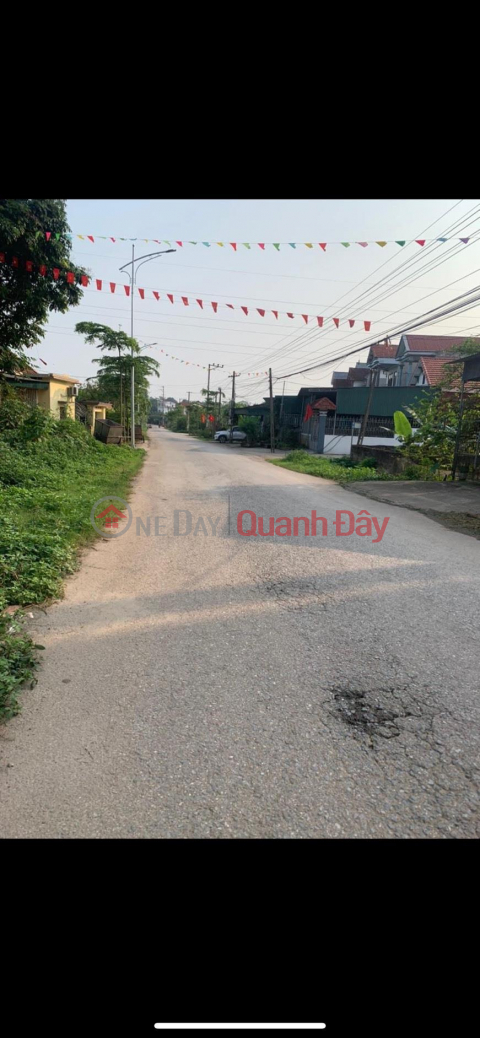 PRIME LAND - GOOD PRICE QUICK SELLING LAND in area 5, Dan Quyen, Tam Nong, Phu Tho _0