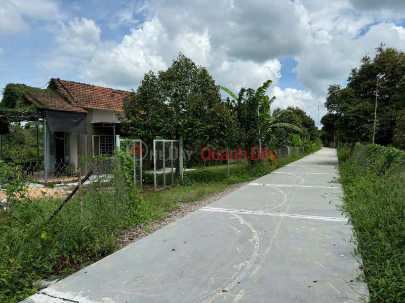 OWNER URGENTLY NEEDS TO SELL A Plot Of Garden Land In Xuan Que Commune, Cam My District, Dong Nai Province Vietnam, Sales, đ 3.5 Billion