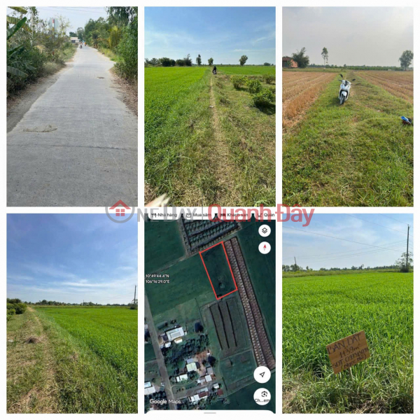 CƠ HỘI ĐẦU TƯ GIÁ TỐT - Chính Chủ Bán Gấp Lô Đất Trồng Lúa Xã Bình Thành, Đức Huệ, Long An | Việt Nam, Bán | đ 600 triệu