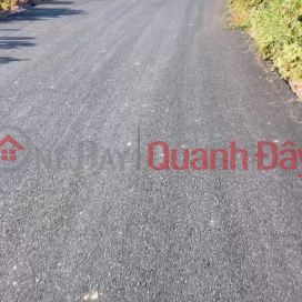 Chính chủ cần bán đất mặt tiền đường nhựa Phước Tân, Xuyên Mộc, DT 545 m2, giá đầu tư _0
