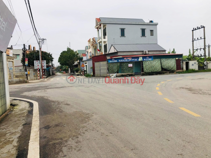 URGENT SALE Street Front Land Plot - Ung Hoe Land (Old Ninh Hoa Commune) Ninh Giang District, Hai Duong | Vietnam Sales đ 2.15 Billion