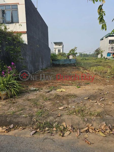 Xuan Hoa New Urban Area, center of Xuan Hoa ward, Phuc Yen, Vinh Phuc Sales Listings