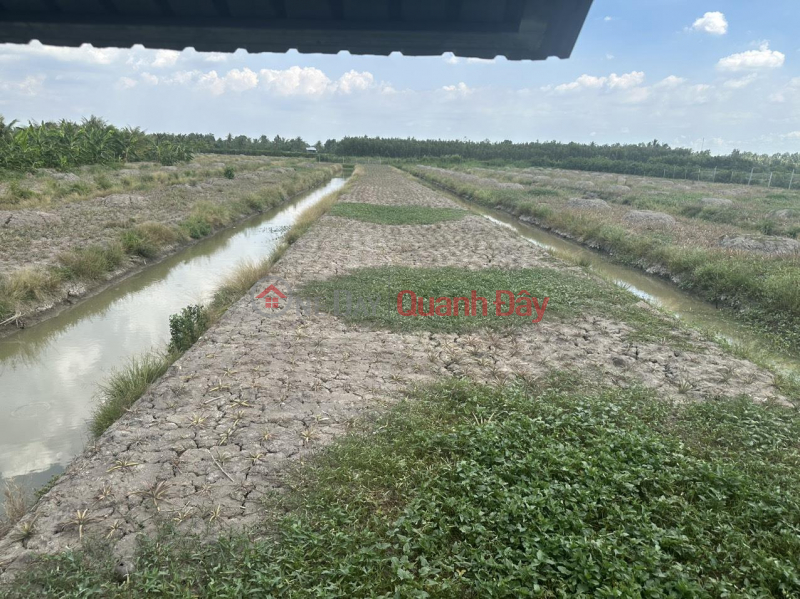 BEAUTIFUL LAND - GOOD PRICE - For Sale by Owner 17.5 acres of Lo Dal Land in Tan Tien, Vi Thanh, Hau Giang | Vietnam Sales | đ 2.63 Billion