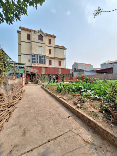 50.9m² of land in Trung Chau, Lien Minh, Hanoi. _0