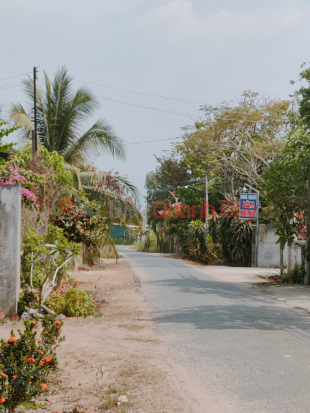 Beautiful Land - Good Price Owner Needs to Sell Land Plot Quickly in Tan Bien, Tay Ninh. Sales Listings