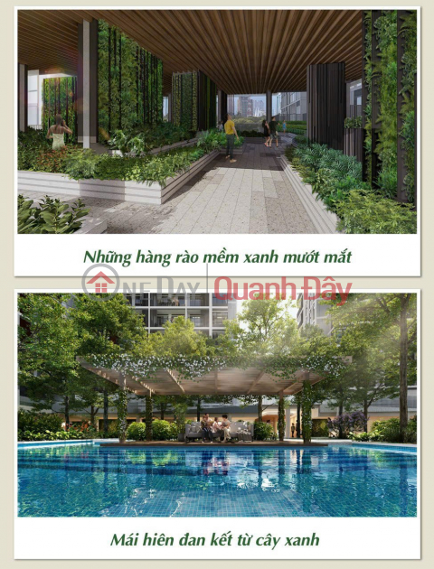 ELYSIAN - THE FIRST URBAN HOUSING PROJECT TO ACHIEVE LOTUS GREEN BUILDING STANDARDS IN THE EAST AREA _0